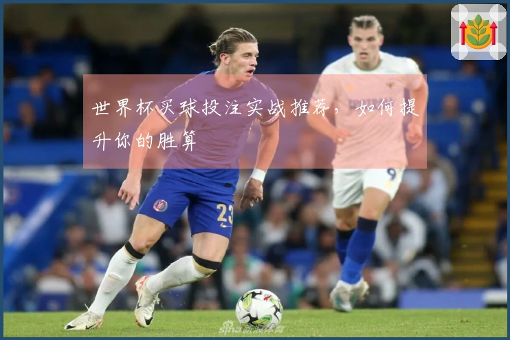 世界杯买球投注实战推荐，如何提升你的胜算