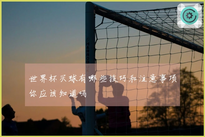 世界杯买球有哪些技巧和注意事项你应该知道吗