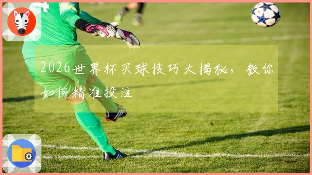 2026世界杯买球技巧大揭秘，教你如何精准投注