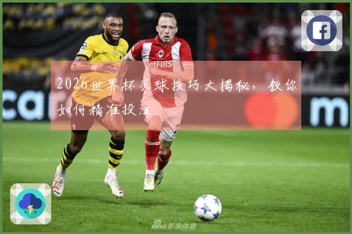 2026世界杯买球技巧大揭秘，教你如何精准投注