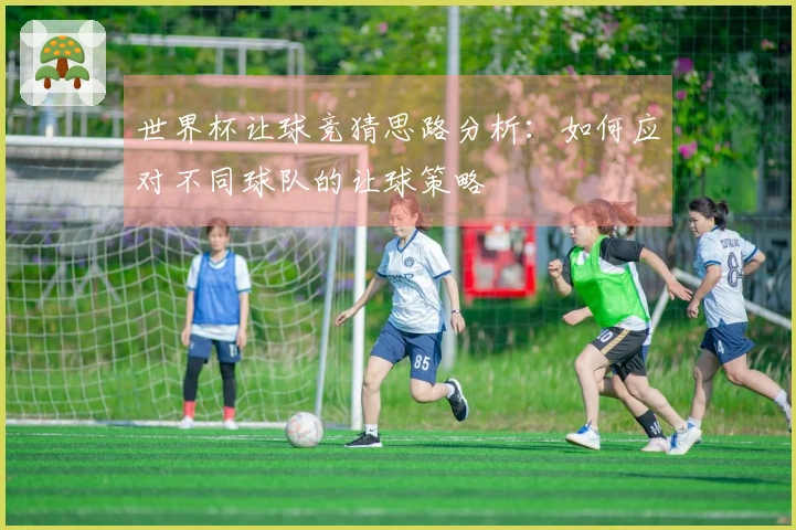 世界杯让球竞猜思路分析：如何应对不同球队的让球策略