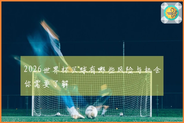 2026世界杯买球有哪些风险与机会你需要了解