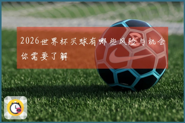 2026世界杯买球有哪些风险与机会你需要了解