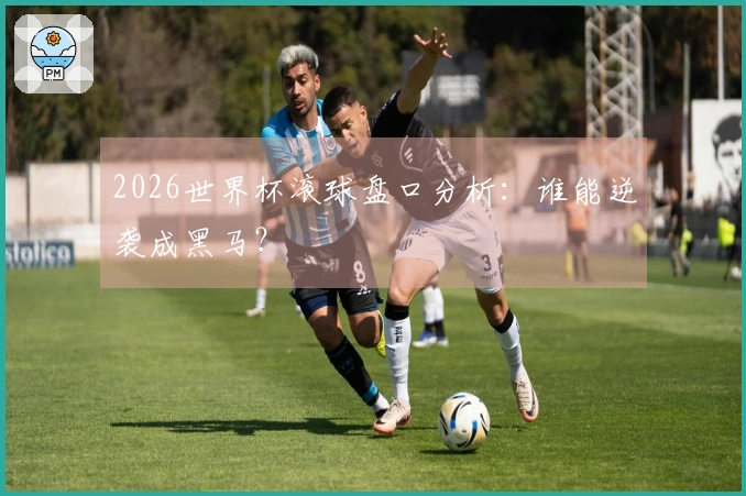 2026世界杯滚球盘口分析：谁能逆袭成黑马？