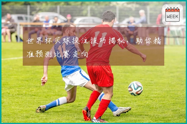 世界杯买球投注技巧揭秘，助你精准预测比赛走向