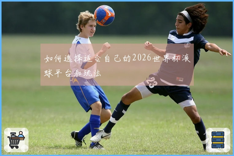 如何选择适合自己的2026世界杯滚球平台和玩法