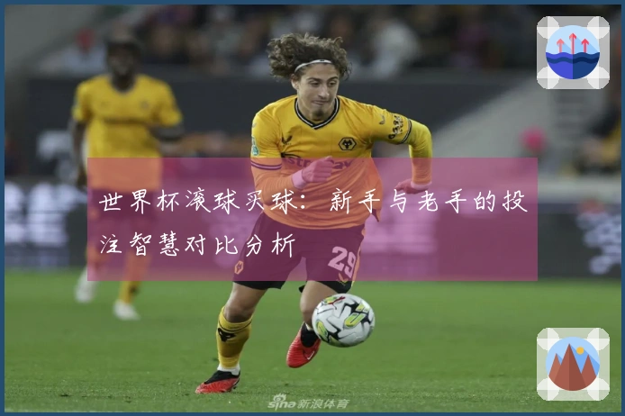 世界杯滚球买球：新手与老手的投注智慧对比分析