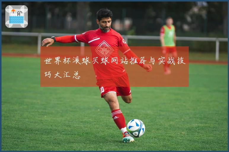 世界杯滚球买球网站推荐与实战技巧大汇总